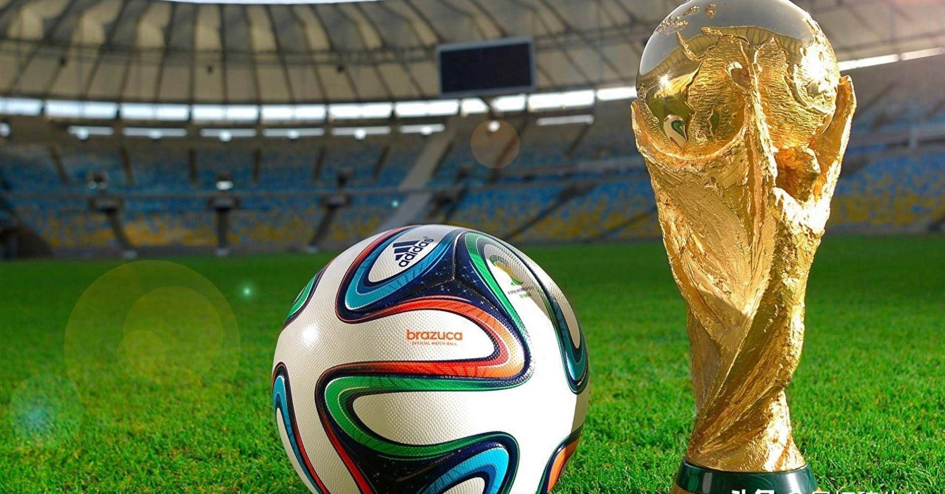 无论结果如 无论结果如