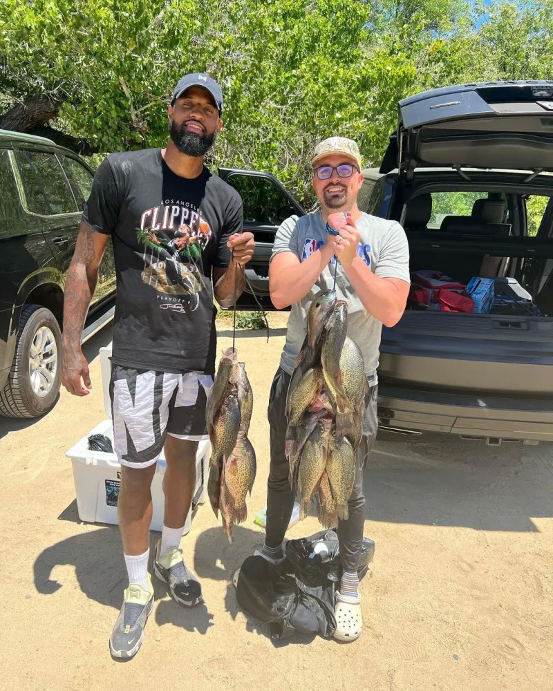 们重新审视 们重新审视