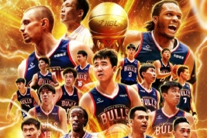 西汉姆联 西汉姆联