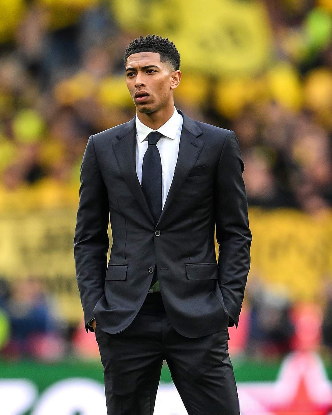 围绕特雷杨 围绕特雷杨