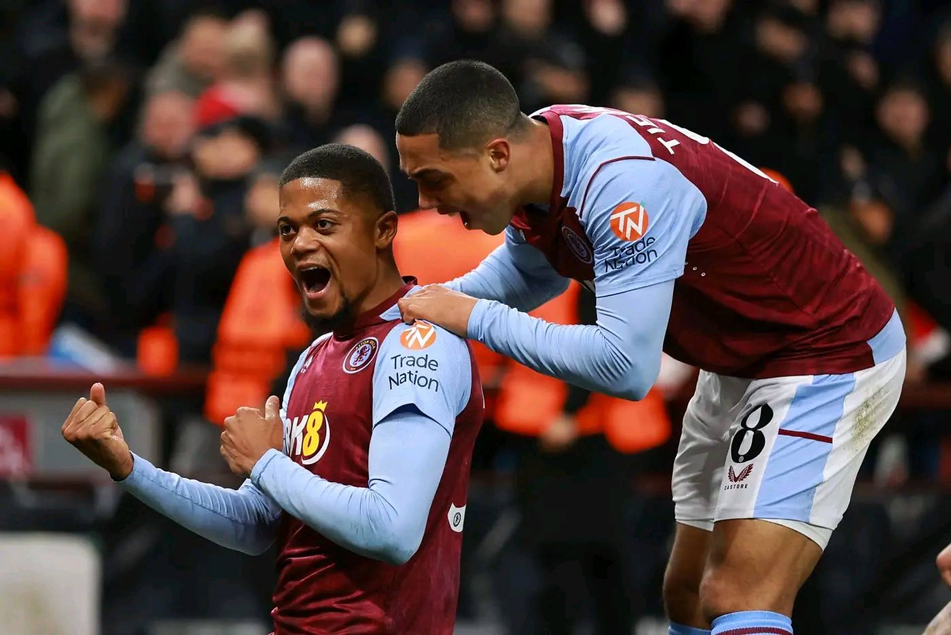 定的表达 定的表达